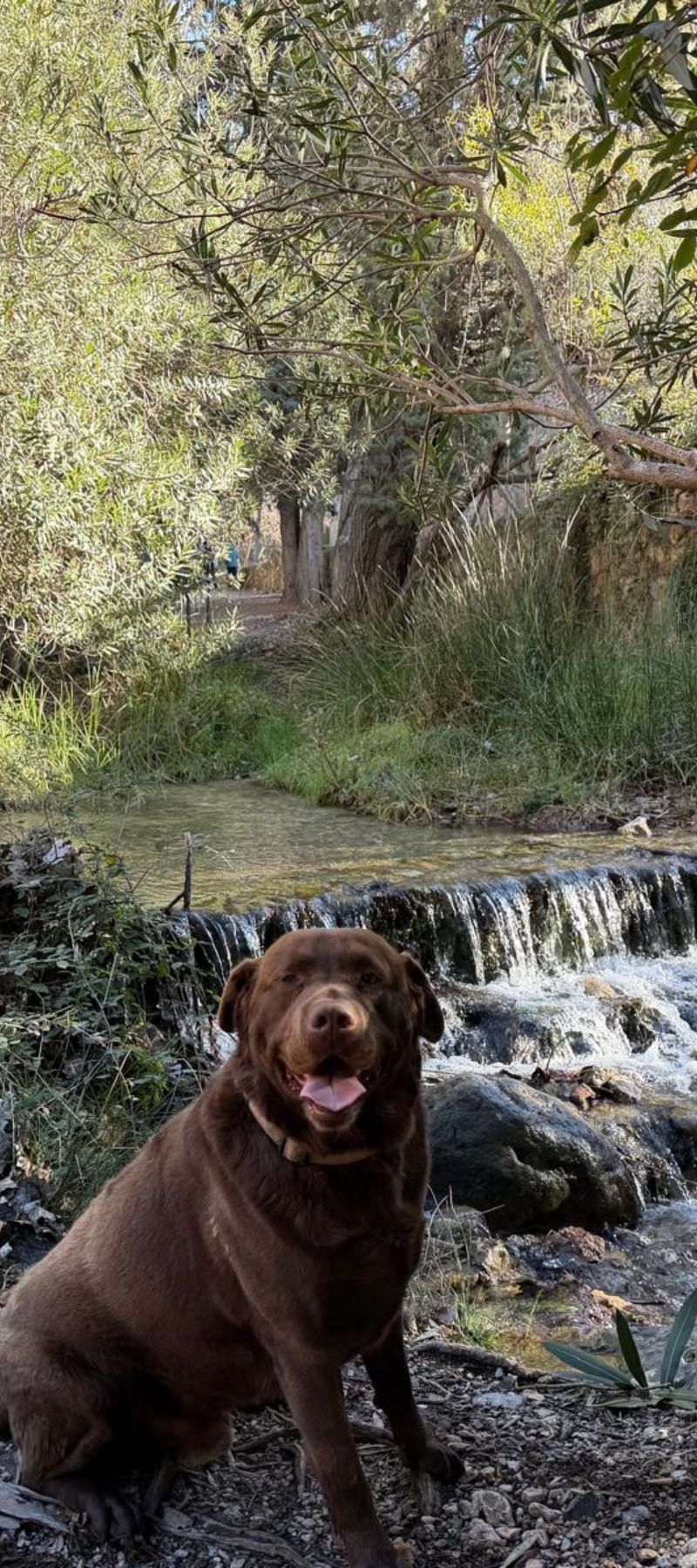 Diseño sin título (100)