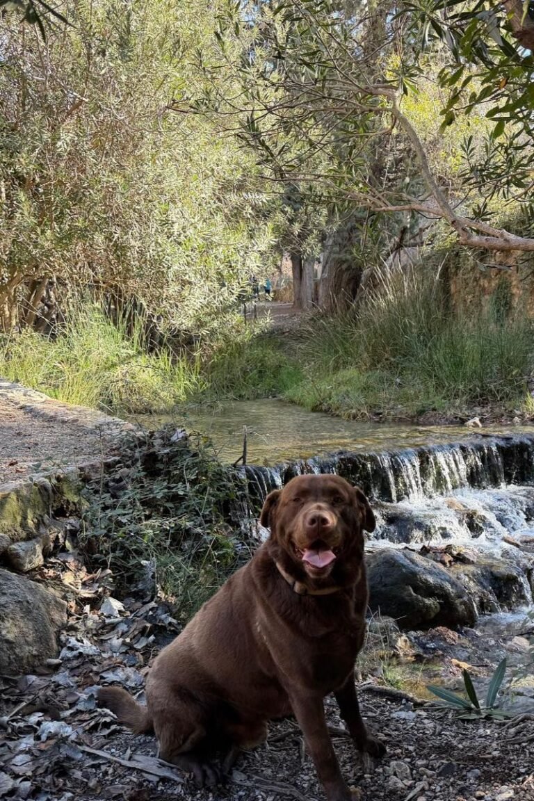 Diseño sin título (73)