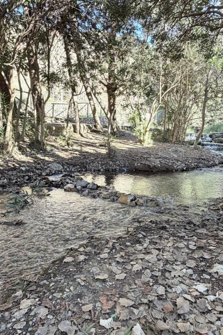 Diseño sin título (74)