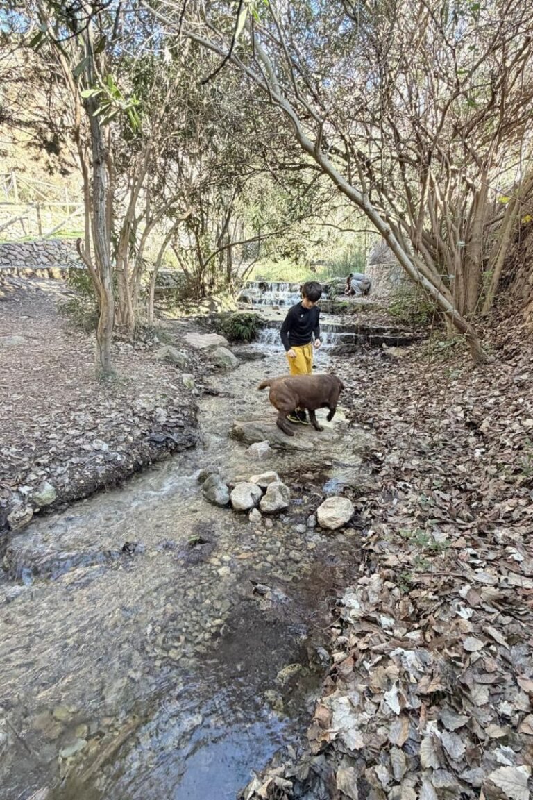 Diseño sin título (76)