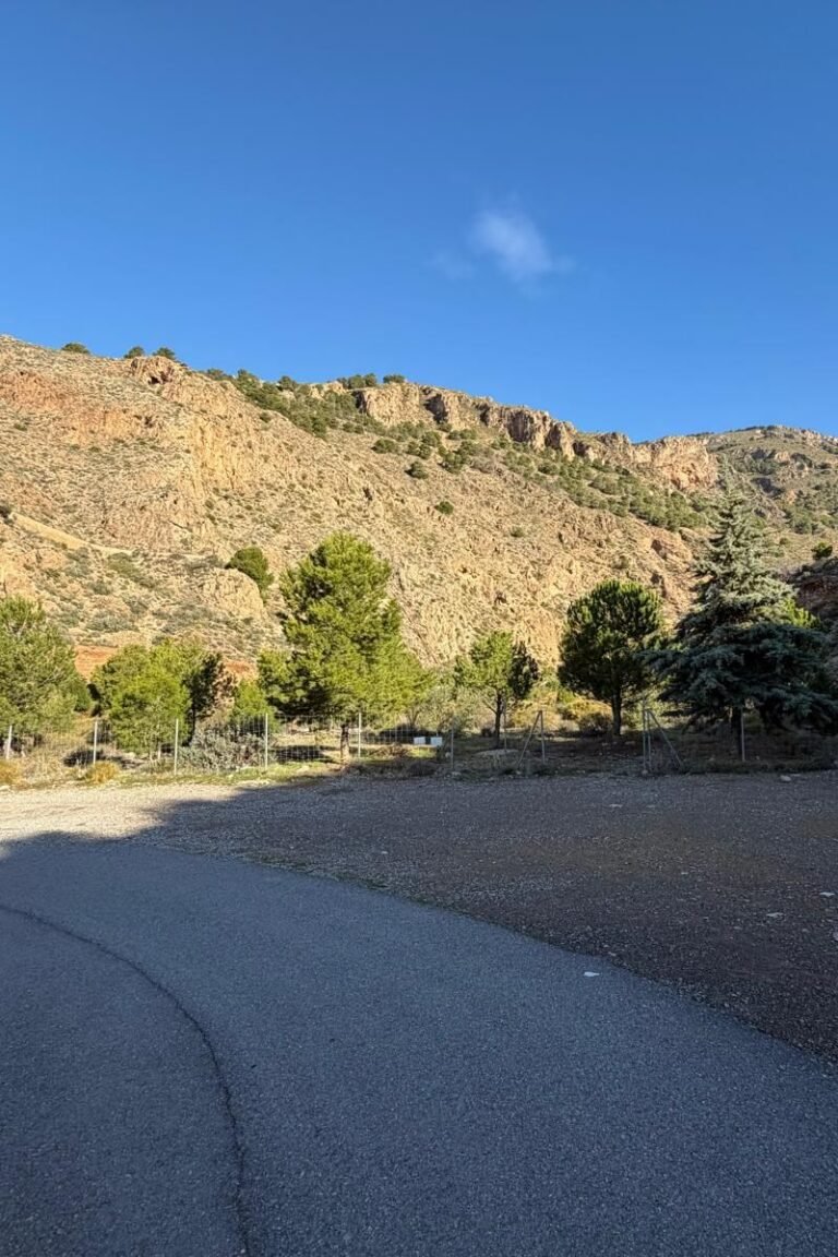 Diseño sin título (77)