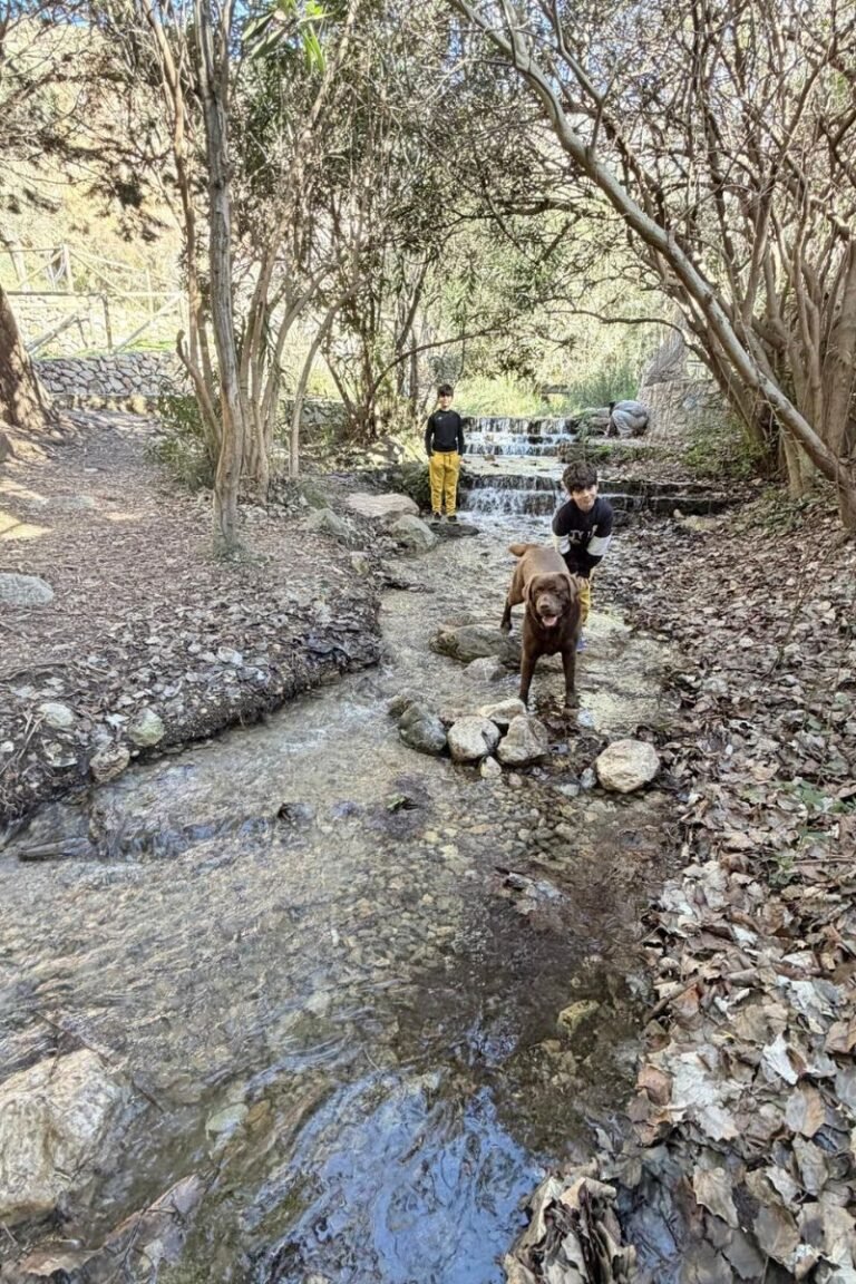 Diseño sin título (78)