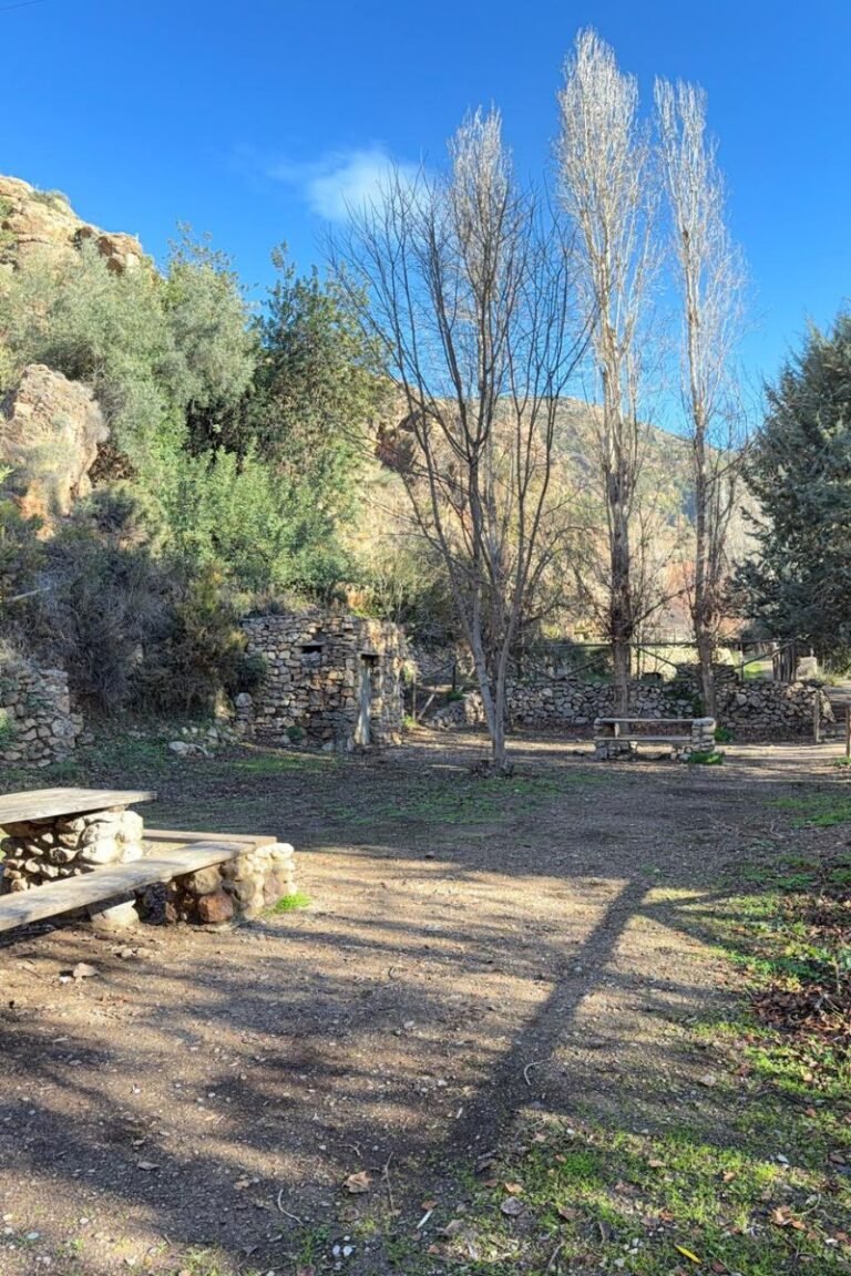 Diseño sin título (80)