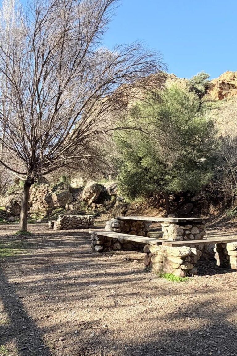 Diseño sin título (81)