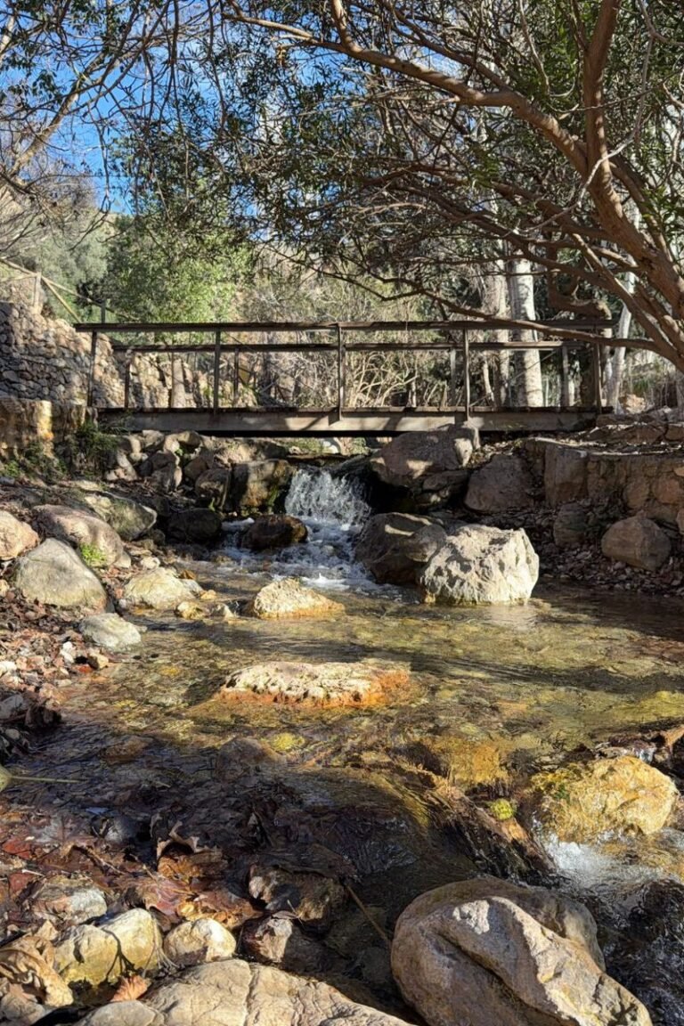 Diseño sin título (82)