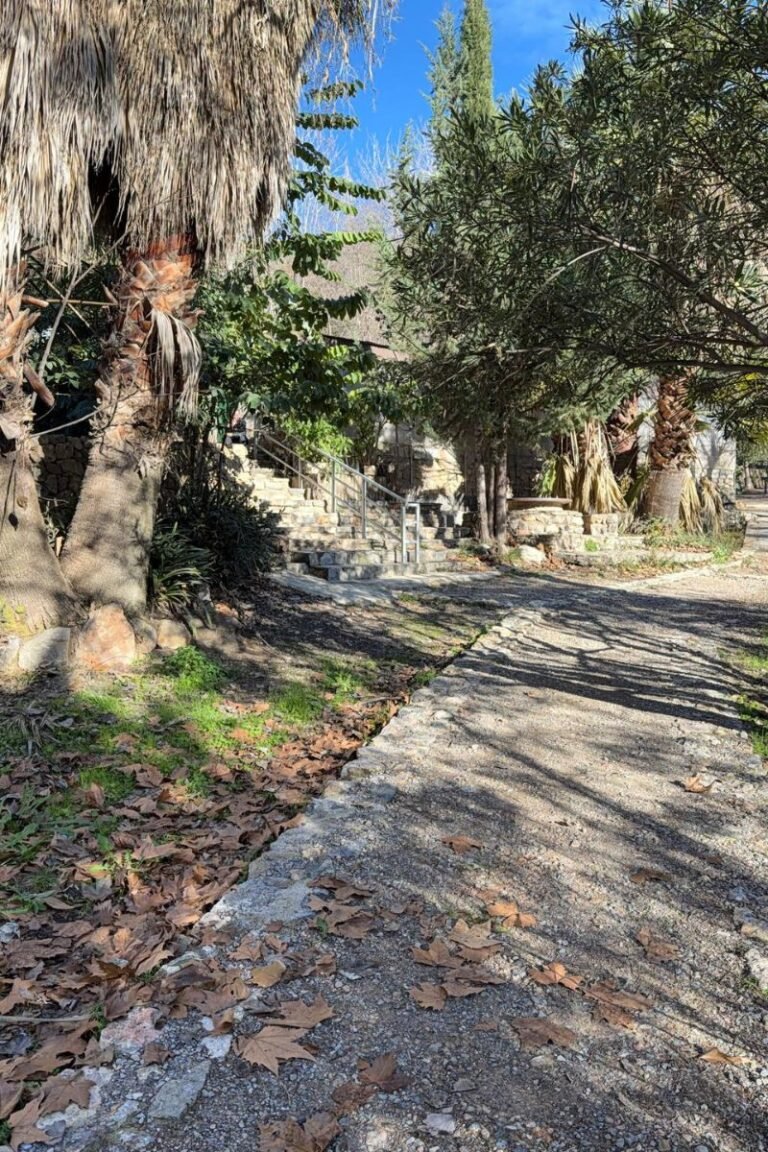 Diseño sin título (84)