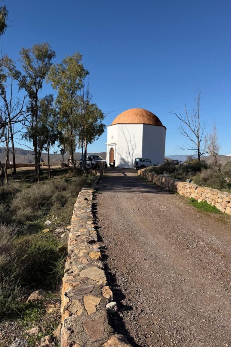 Diseño sin título (85)