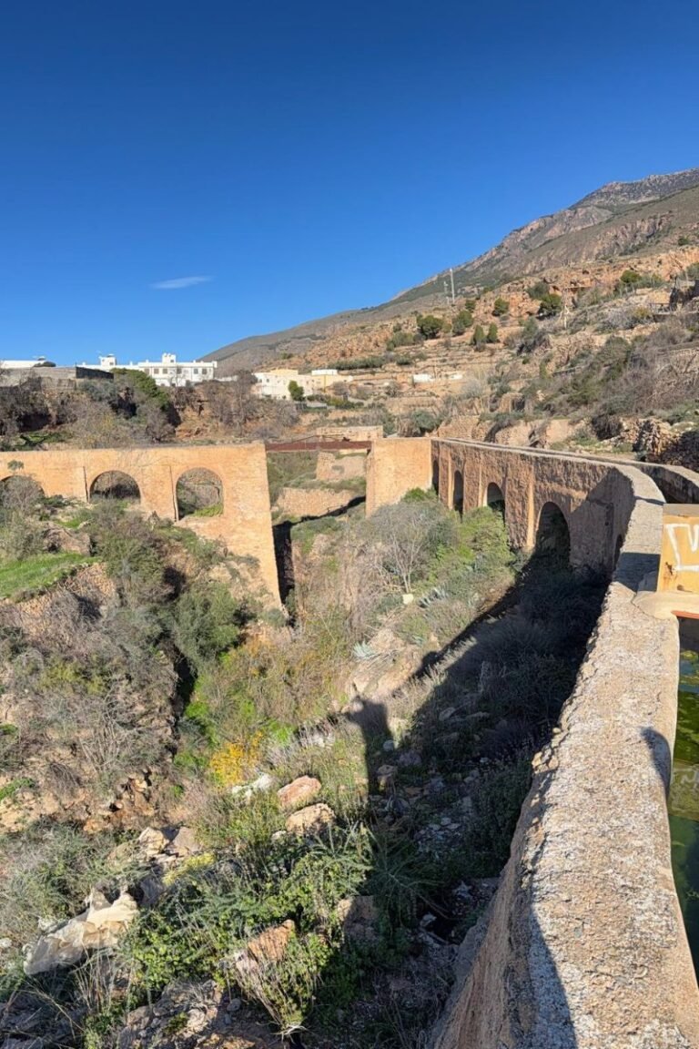 Diseño sin título (86)