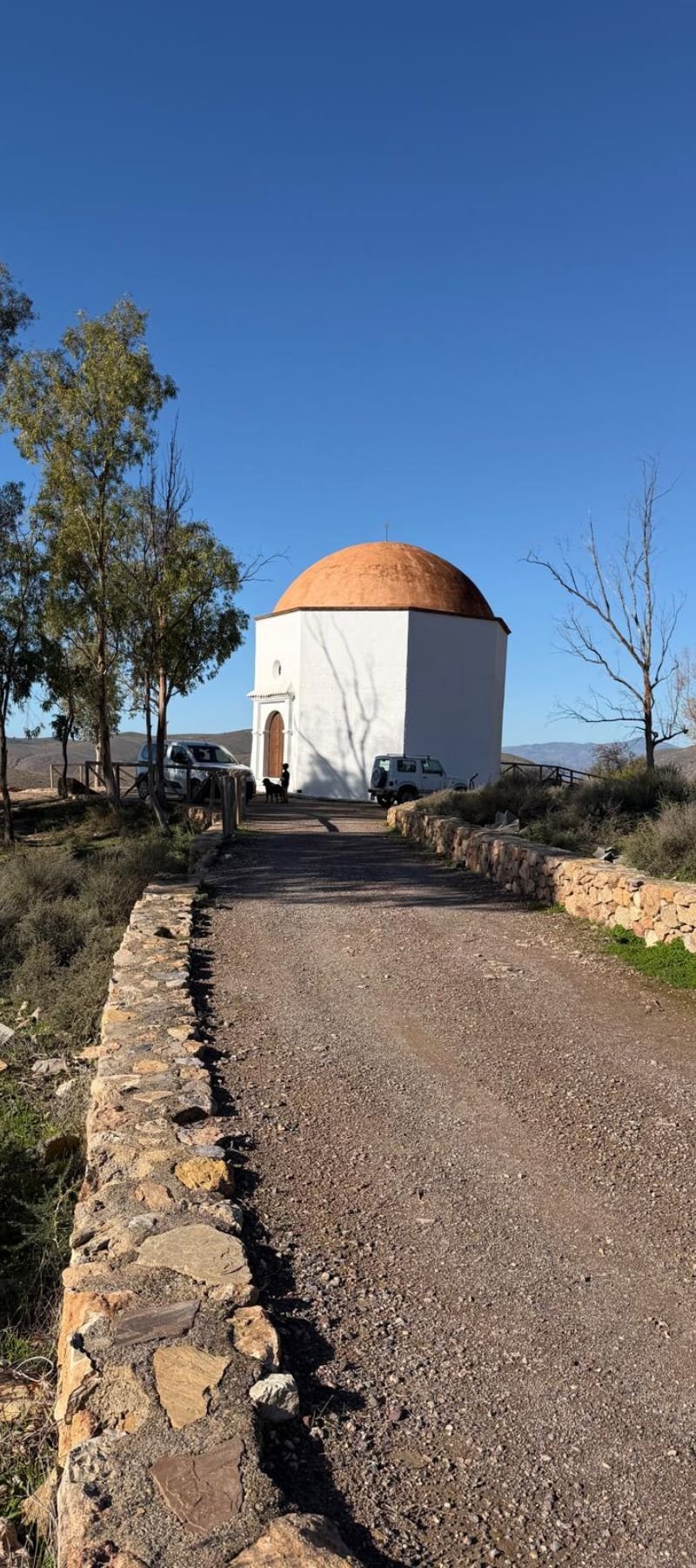 Diseño sin título (87)