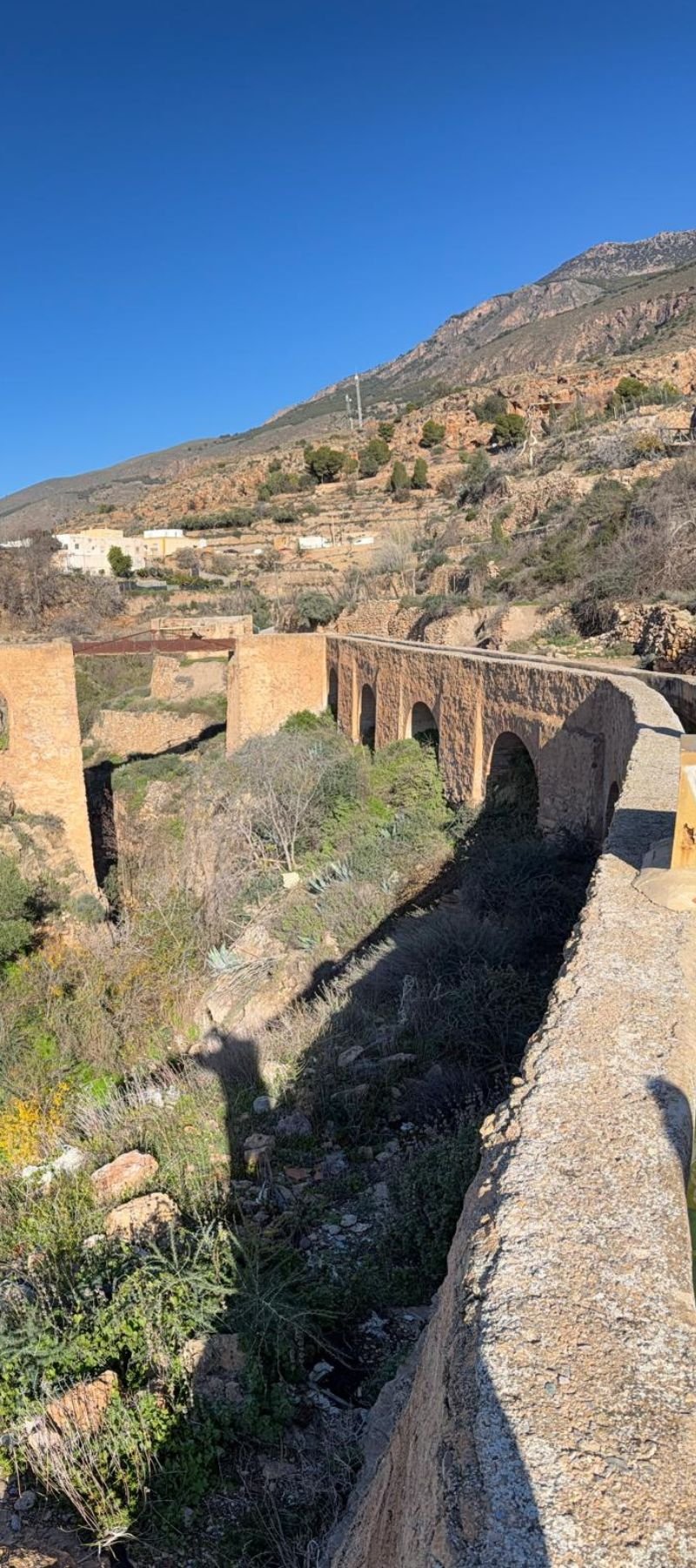 Diseño sin título (88)