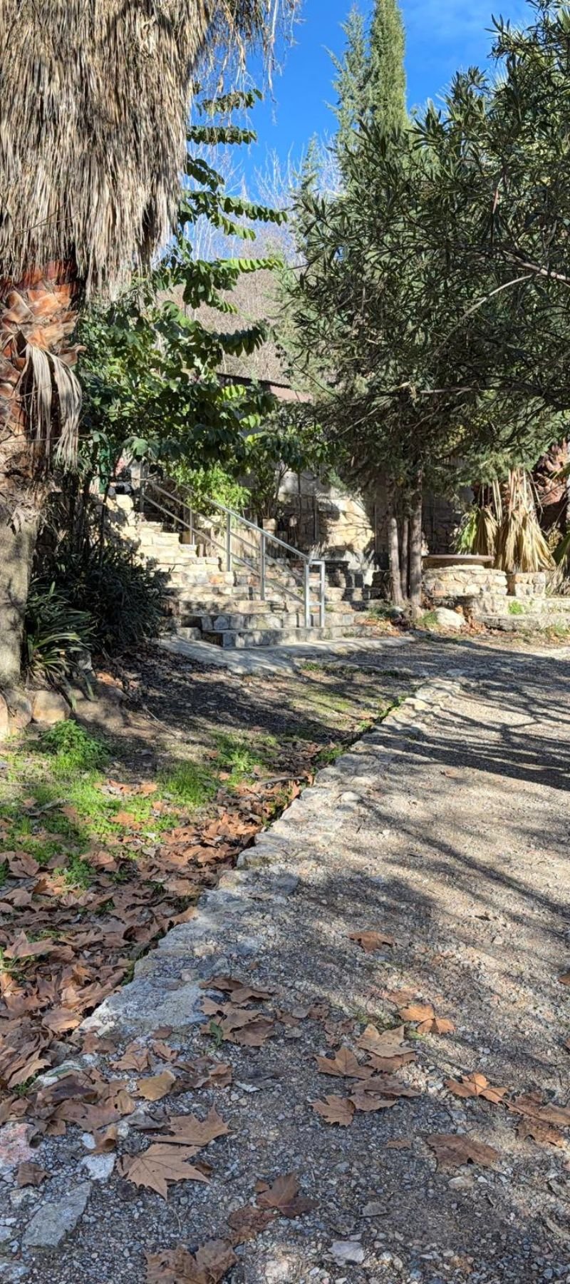 Diseño sin título (89)