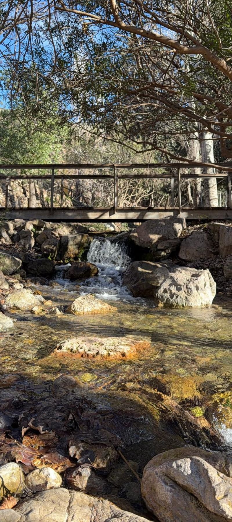 Diseño sin título (92)