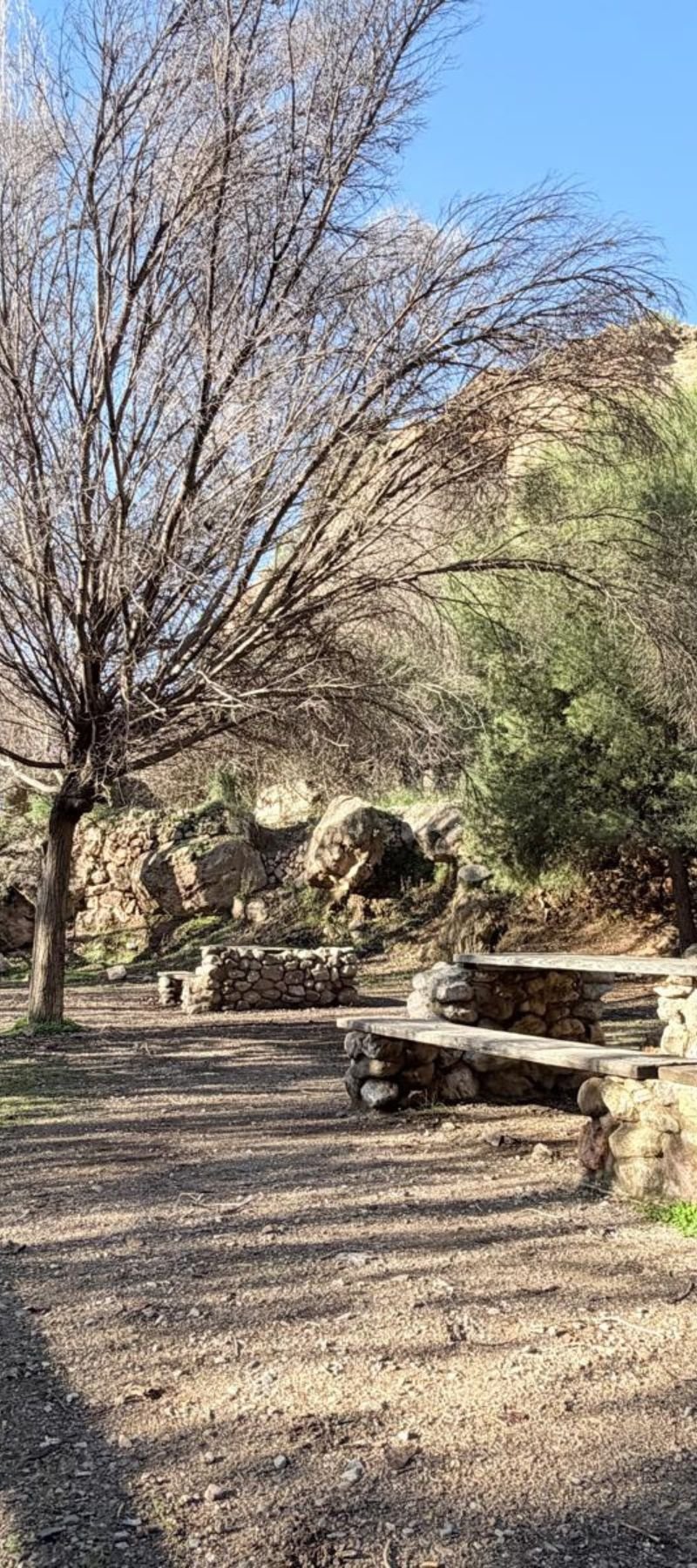 Diseño sin título (93)