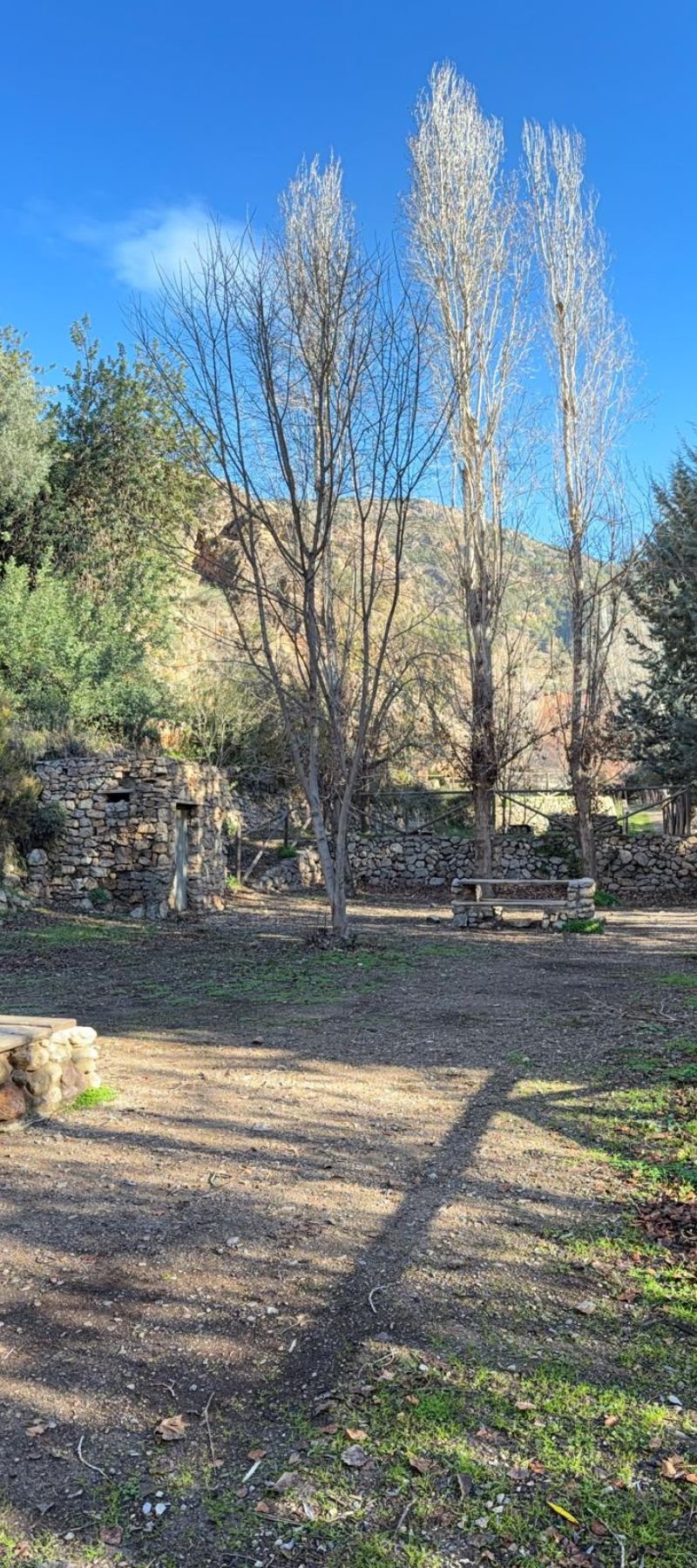 Diseño sin título (94)