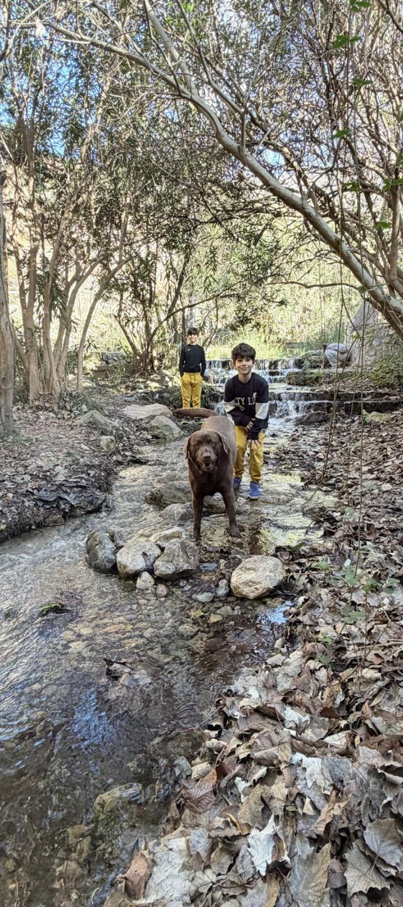 Diseño sin título (96)