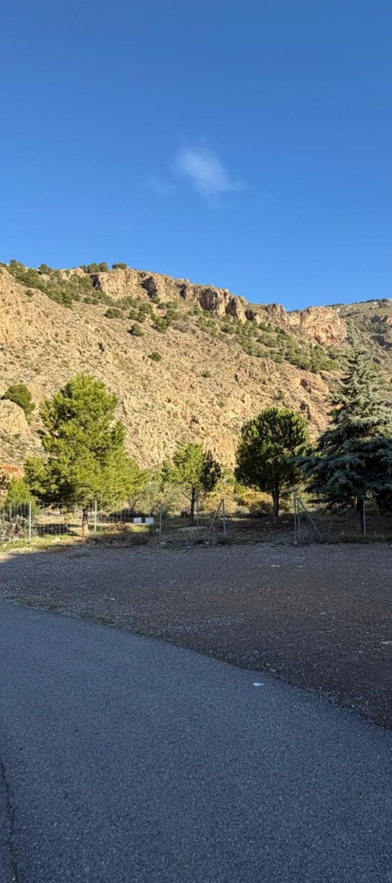 Diseño sin título (97)