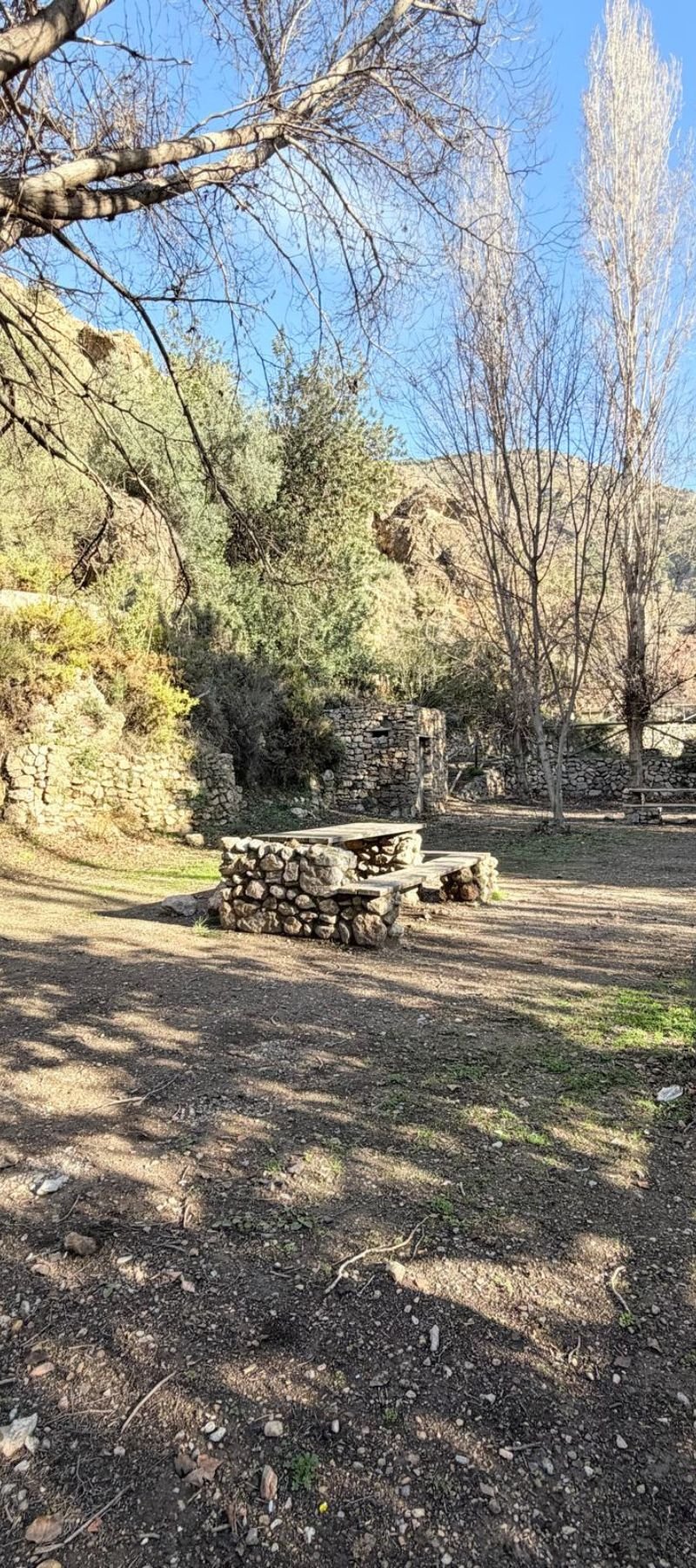 Diseño sin título (98)