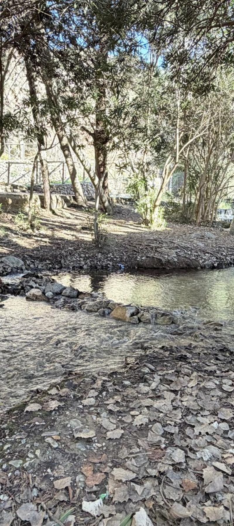 Diseño sin título (99)