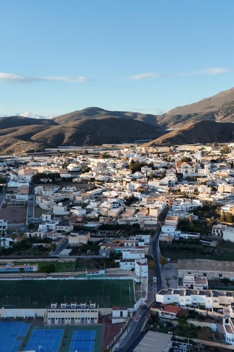 Diseño sin título - 2026-02-19T085029.584