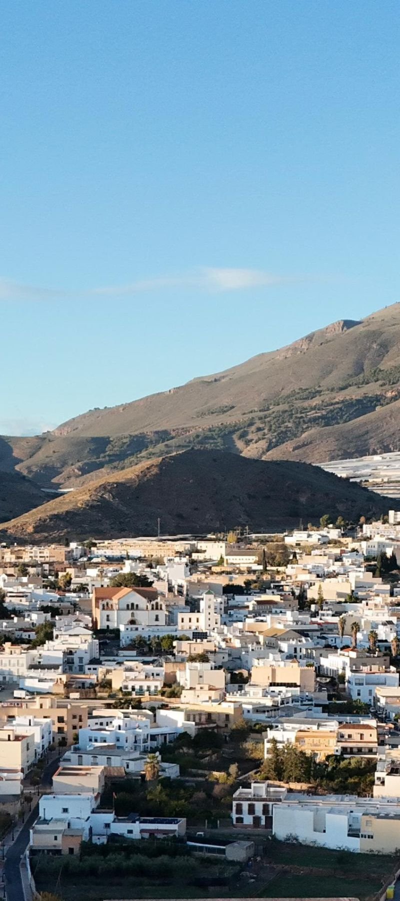 Diseño sin título - 2026-02-21T095229.946